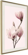 Αφίσα - Blooming Magnolias III - 40x60 - Χρυσό - Με πασπαρτού