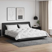 Πάπλωμα με μαξιλάρι 3 pcs Λευκό Μικροΐνες