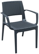 Siesta   Capri Dark Grey* Armchair  metax-01-00-0749 διάστ.62.0000 x 58.0000 x 82.0000