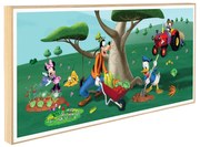 Παιδικό Κάδρο Στον κήπο με τον Mickey KDP118 30x60cm