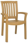 ΚΑΡΕΚΛΑ ΠΛΑΣΤΙΚΗ SKG MALIBU TEAK