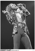 Αφίσα Led Zeppelin - Robert Plant March 1975 (colour)