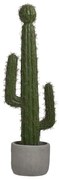 Διακοσμητικός Κάκτος Σε Γλάστρα 3-85-311-0010 Pl Green 13x11x42cm Inart Plastic