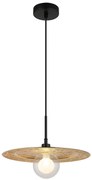 Φωτιστικό Κρεμαστό Globo Lighting RIGA 15169G