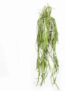 Τεχνητή Κρεμαστή Ρίζα Dama Noce 0371-7 106cm Green Supergreens Πολυαιθυλένιο,Ύφασμα