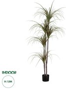 GloboStar® Artificial Garden DRAGON BLOOD TREE 20016 Τεχνητό Διακοσμητικό Φυτό Δράκαινα Υ180cm