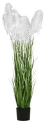 Φυτό Pampas Grass Λευκό iliadis Φ20x180εκ. 85074