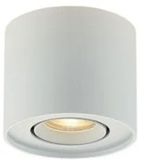 Σποτ Φωτιστικό Οροφής Λευκό Arion 4260800 Viokef-4260800-Λευκό 4260800