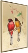 Αφίσα - Ornithologist's Drawings - 40x60 - Χρυσό - Χωρίς πασπαρτού