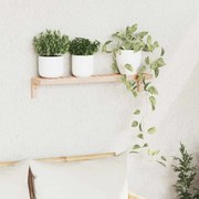 vidaXL Ράφι Τοίχου Κρεμαστό Μπεζ 62 x 10 x 12.5 εκ Μασίφ ξύλο καρυδιάς