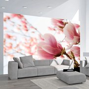 Φωτοταπετσαρία - Pink magnolia 200x154