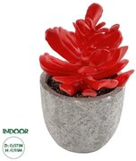 Διακοσμητικό Φυτό Παχύφυτο Κράσουλα Artificial Garden 21013 Globostar 21013