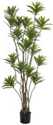 Διακοσμητικό Φυτό Bamboo Πράσινο 180εκ. iliadis 85117