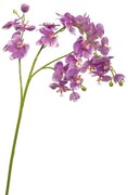 Flower Eladro Ορχιδέα 1239066-L6