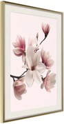 Αφίσα - Blooming Magnolias I - 40x60 - Χρυσό - Με πασπαρτού