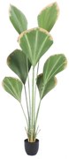 Supergreens Τεχνητό Δέντρο Λικουάλα Πράσινο 160 εκ.