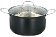 Κατσαρόλα με Καπάκι 5.5L ALPINA