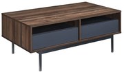 GROOVES COFFEE TABLE 2ΣΥΡΤΑΡΙΑ ΚΑΡΥΔΙ ΓΚΡΙ 110x60xH45cm