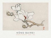 Αναπαραγωγή Magnolia Blossom (Special Edition Japandi) - Kōno Bairei