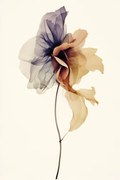 Εικονογράφηση Chiffon Flower, Treechild