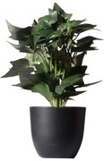 Supergreens Τεχνητό Φυτό Κισσός Silver Πράσινο 30 εκ