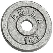 Δίσκος Amila Εμαγιέ Φ28mm 1kg 44469