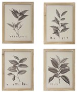Artekko Botanical Πίνακας με Κορνίζα Ξύλο Εκρού (39.9x1.8x53.1)cm Σετ/4 Artekko SA80196-DS
