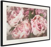 Αφίσα - Pastel Peonies - 60x40 - Μαύρο - Με πασπαρτού