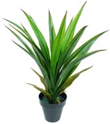 Plant in Pot Eladro Γιούκα 2621200B-GR