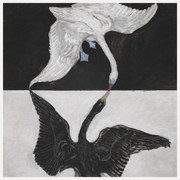 Αναπαραγωγή The Swan No.12, Hilma af Klint