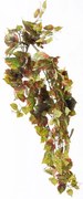 Supergreens Τεχνητός Κρεμαστός Φίκος Afzelii Dual Tone Πράσινος 90 εκ