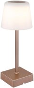 Φωτιστικό Επιτραπέζιο Globo Lighting XAYDEN 28061CH 3000 - 6500K