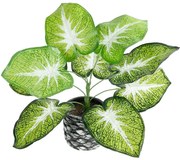 Τεχνητό Φυτό Σε Κασπώ Caladium 20890 Φ40x33cm Green-Grey GloboStar Πολυαιθυλένιο,Ύφασμα