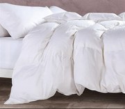 ΠΑΠΛΩΜΑ HOLLOWFIBER 160X220 - 160Χ220 - WHITE 5205495155395