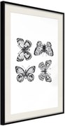 Αφίσα - Butterfly Collection III B - 40x60 - Μαύρο - Με πασπαρτού