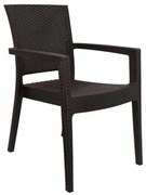 ΚΑΡΕΚΛΑ ΕΞΟΧΗΣ Fylliana ”ZEUS” ΚΑΦΕ ΧΡΩΜΑ 58x57x88εκ 875-123-024