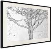 Αφίσα - Tangled Branches - 60x40 - Μαύρο - Με πασπαρτού