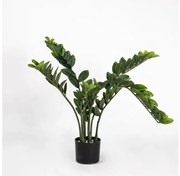 Τεχνητό Φυτό Ζάμια 80 εκ. 5450-6 Supergreens-5450-6-Πράσινο 5450-6