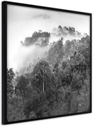 Αφίσα - Foggy Forest - 30x30 - Μαύρο - Χωρίς πασπαρτού