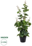Τεχνητό Διακοσμητικό Φυτό Άμπελος Artificial Garden 20379 Globostar 20379