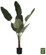 Intrahome ΔΙΑΚΟΣΜΗΤΙΚΟ ΣΥΝΘΕΤΙΚΟ ΦΥΤΟ ΣΤΡΕΛΙΤΣΙΑ ΣΕ ΓΛΑΣΤΡΑ Φ17x14,5-150Yεκ. intraho-1520748