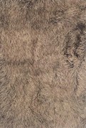 Χαλί SHAGGY FLATO BROWN &#8211; 200×280 cm 200cm x 280cm BROWN