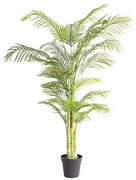 PALM TREE  NP5506_180_22  ΥΨΟΣ 180cm NewPlan