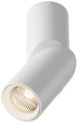 Σποτ Φωτιστικό Οροφής-Τοίχου LED 3000K Dafne 10W IP20 Φ5 MAYTONI-C027CL-L10W-Λευκό C027CL-L10W