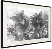 Αφίσα - Dark Lillies - 60x40 - Μαύρο - Με πασπαρτού