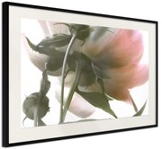 Αφίσα - Under the Flower - 60x40 - Μαύρο - Με πασπαρτού