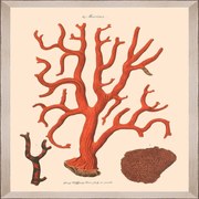 Κάδρο Deliciae Naturae Ix Fa13361 35X50Cm Beige-Orange Mindthegap Κάθετοι Wood