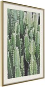 Αφίσα - Cactus Plantation - 40x60 - Χρυσό - Με πασπαρτού