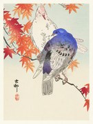 Αναπαραγωγή Two Pigeons, Ohara Koson