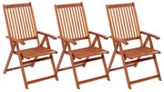 vidaXL Καρέκλες Κήπου Πτυσσόμενες 3 τεμ. από Μασίφ Ξύλο Ακακίας